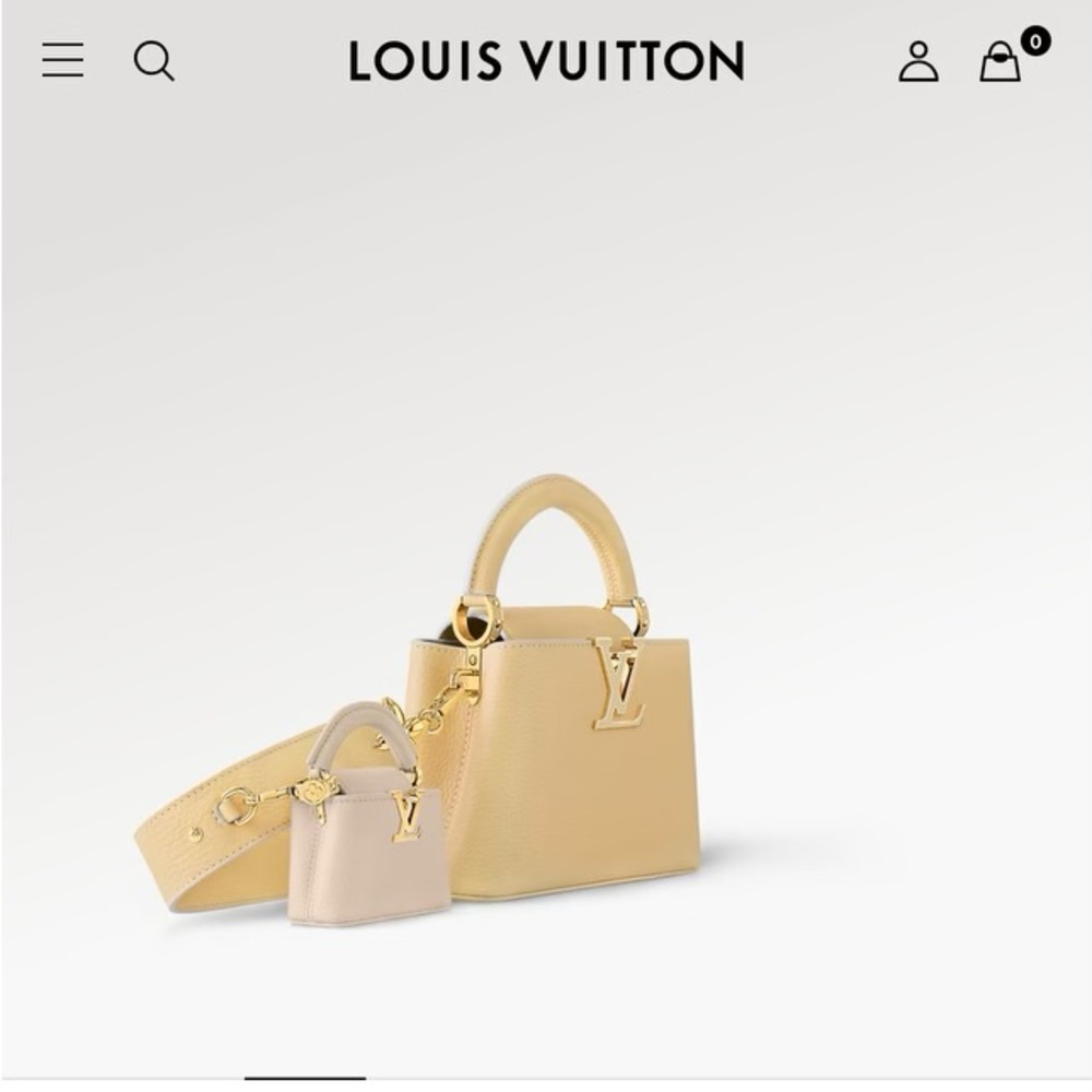 BNIB Louis Vuitton Limited edition Cappucines.